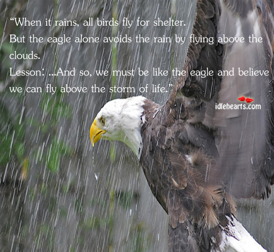 Be like an eagle and believe that you can fly above the storm.