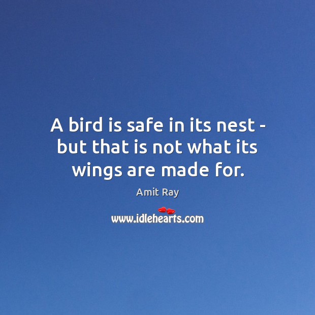 A bird is safe in its nest – but that is not what its wings are made for. Image