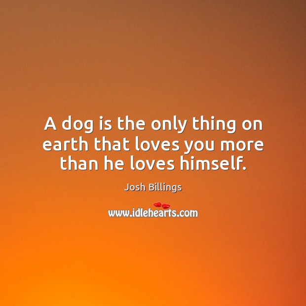 A dog is the only thing on earth that loves you more than he loves himself. Earth Quotes Image