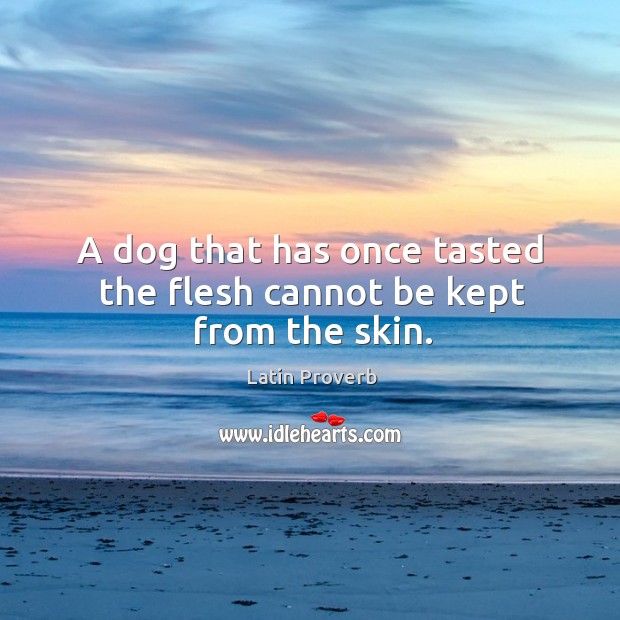 A dog that has once tasted the flesh cannot be kept from the skin. Image