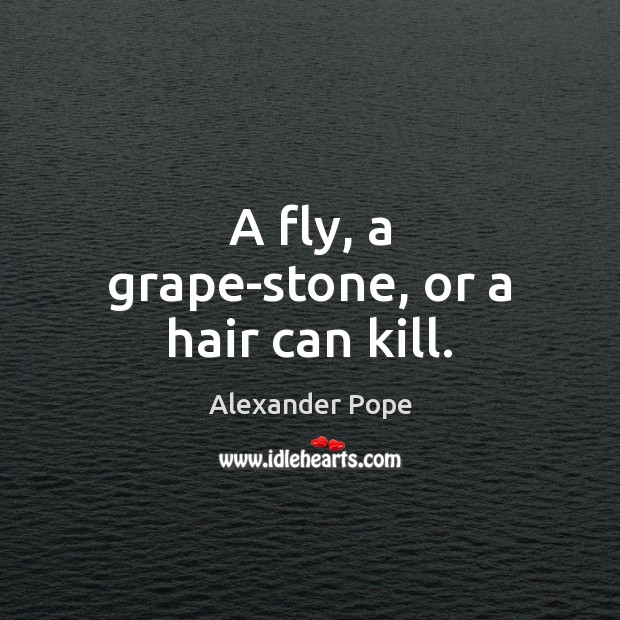 A fly, a grape-stone, or a hair can kill. Alexander Pope Picture Quote