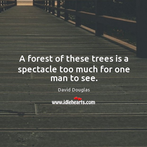 A forest of these trees is a spectacle too much for one man to see. David Douglas Picture Quote