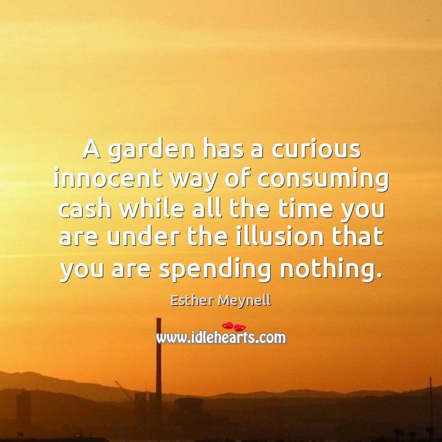 A garden has a curious innocent way of consuming cash while all Esther Meynell Picture Quote