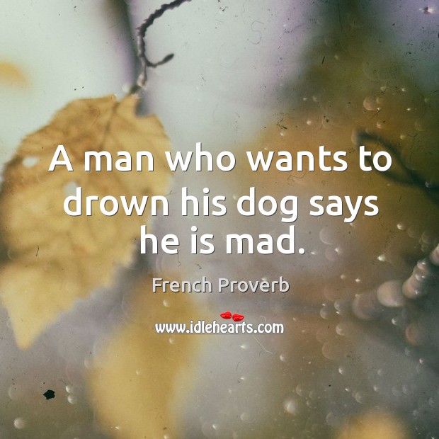 French Proverbs