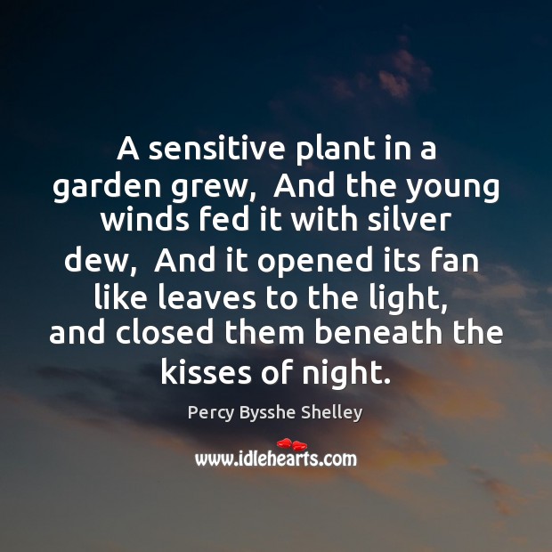 A sensitive plant in a garden grew,  And the young winds fed Picture Quotes Image