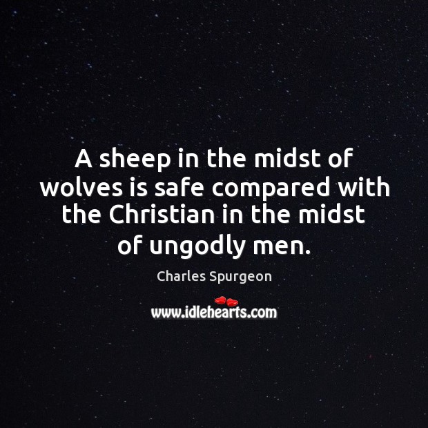 A sheep in the midst of wolves is safe compared with the Charles Spurgeon Picture Quote