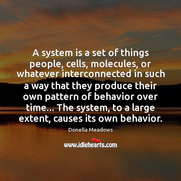 A system is a set of things people, cells, molecules, or whatever Donella Meadows Picture Quote