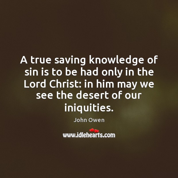 A true saving knowledge of sin is to be had only in Image