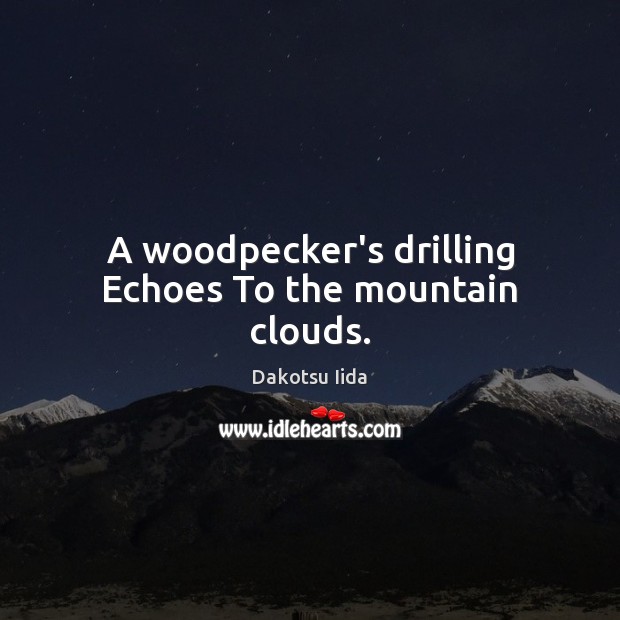 A woodpecker’s drilling Echoes To the mountain clouds. Image