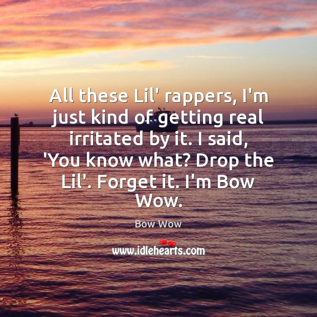 All these Lil’ rappers, I’m just kind of getting real irritated by Picture Quotes Image