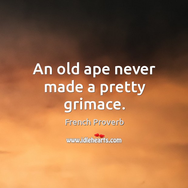 An old ape never made a pretty grimace. Image