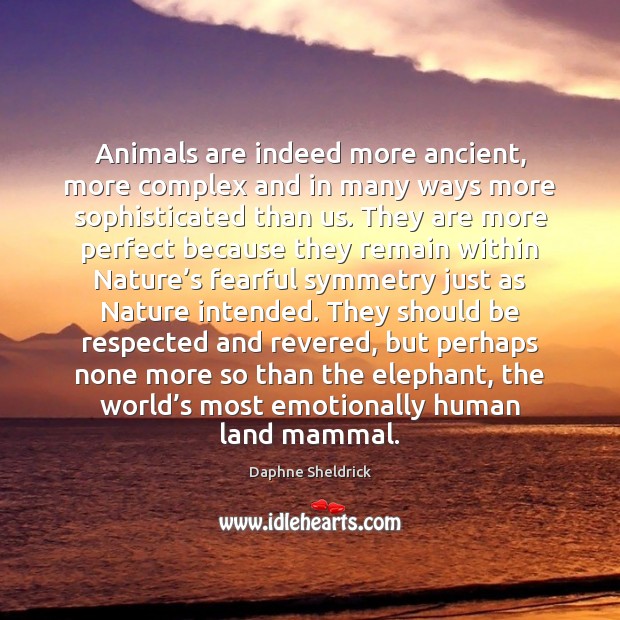 Animals are indeed more ancient, more complex and in many ways more Image