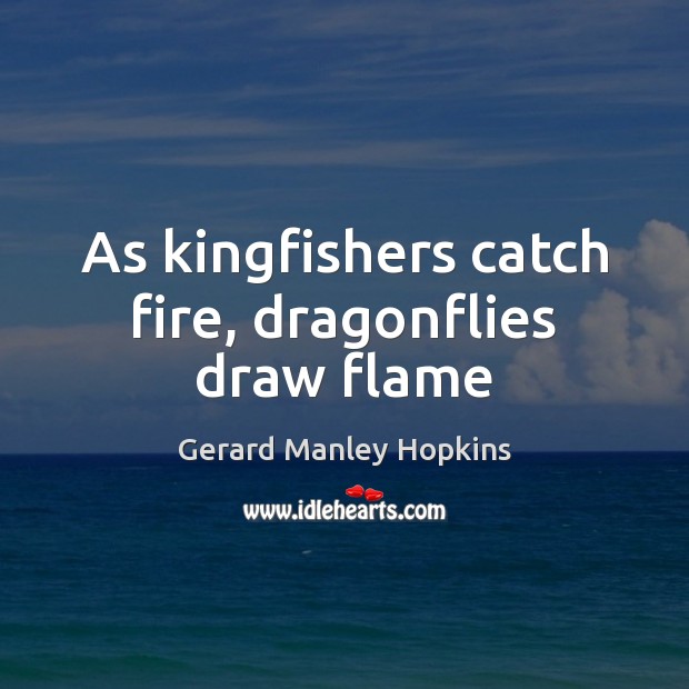 As kingfishers catch fire, dragonflies draw flame Gerard Manley Hopkins Picture Quote