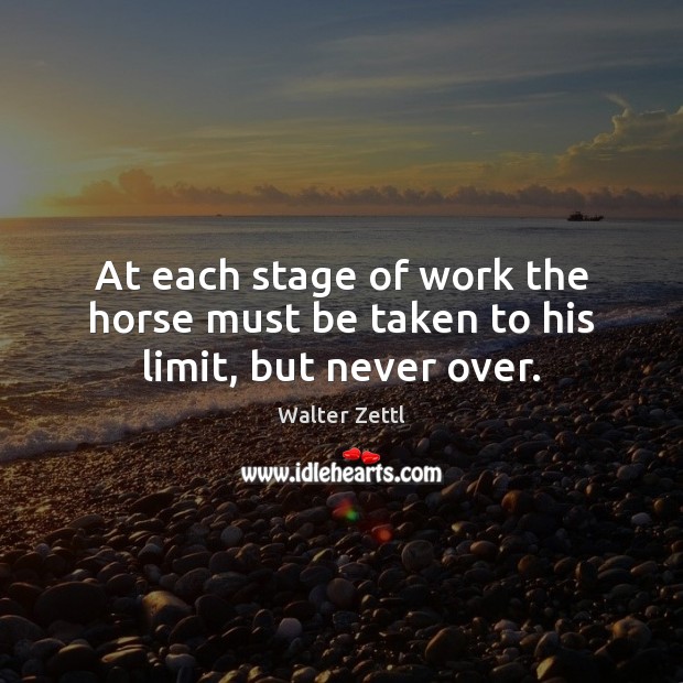 At each stage of work the horse must be taken to his limit, but never over. Image