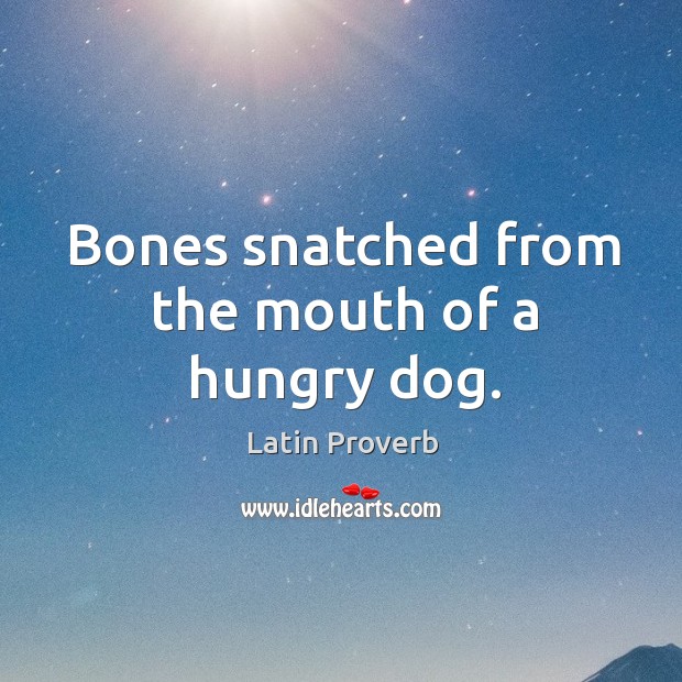 Latin Proverbs