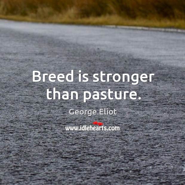 Breed is stronger than pasture. Image