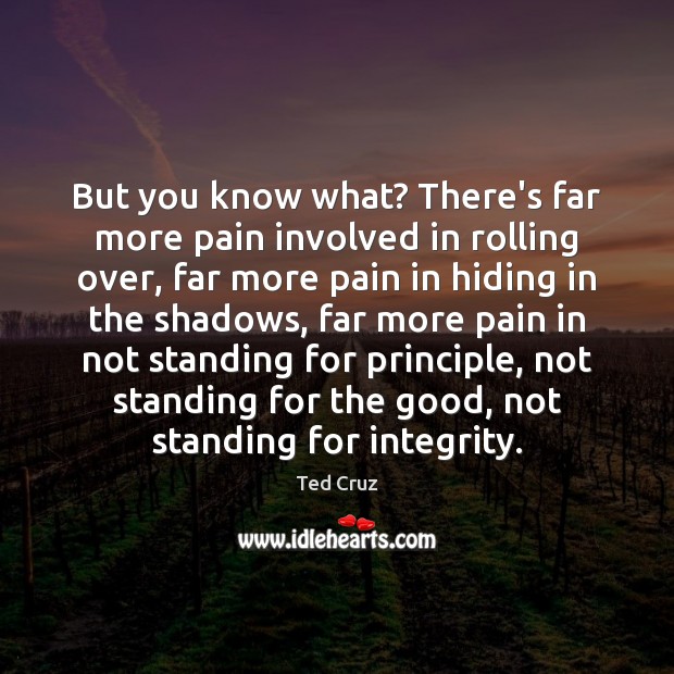 But you know what? There’s far more pain involved in rolling over, Picture Quotes Image