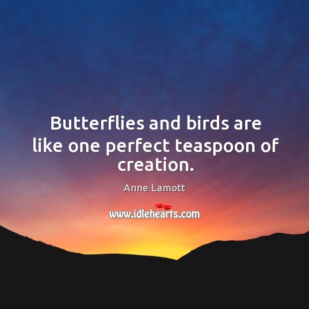Butterflies and birds are like one perfect teaspoon of creation. Anne Lamott Picture Quote