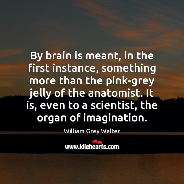 By brain is meant, in the first instance, something more than the Image