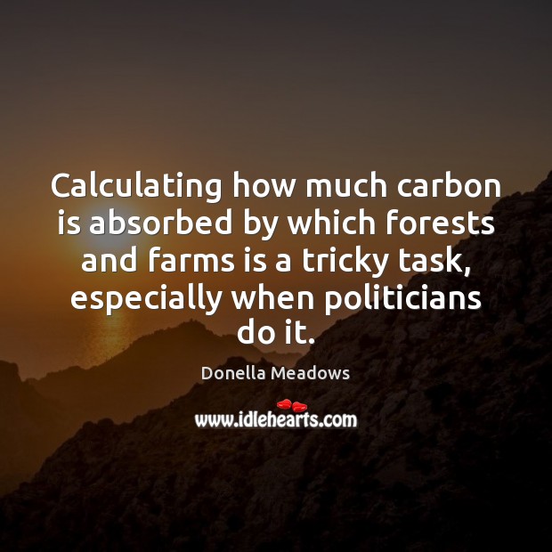 Calculating how much carbon is absorbed by which forests and farms is Donella Meadows Picture Quote