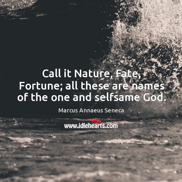 Call it nature, fate, fortune; all these are names of the one and selfsame God. Image