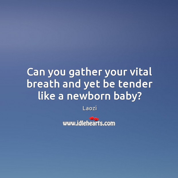 Can you gather your vital breath and yet be tender like a newborn baby? Laozi Picture Quote