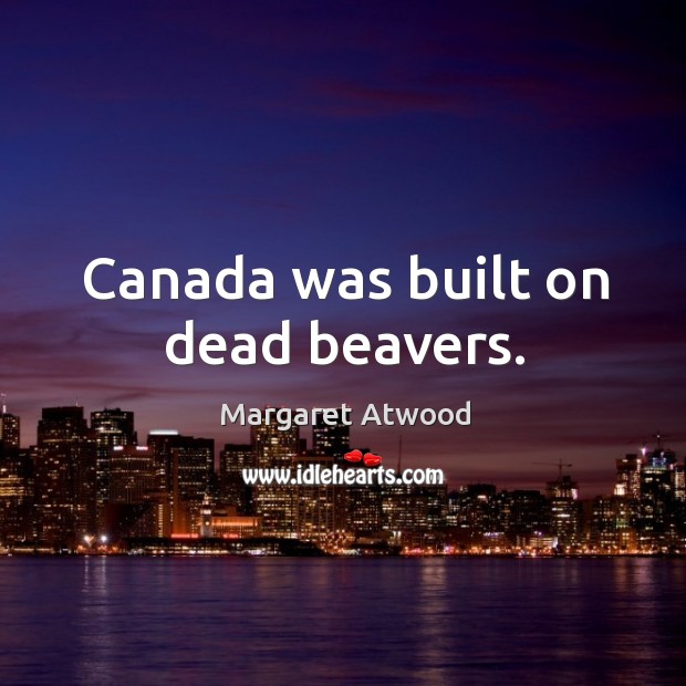 Canada was built on dead beavers. Image