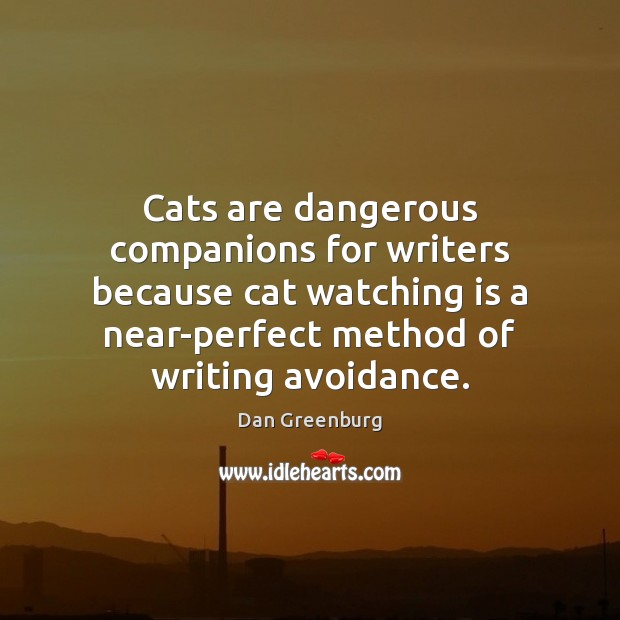 Cats are dangerous companions for writers because cat watching is a near-perfect Image