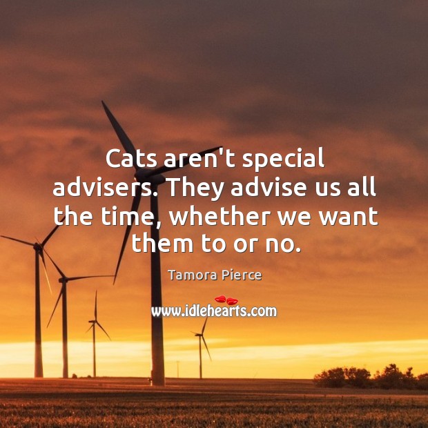 Cats aren’t special advisers. They advise us all the time, whether we want them to or no. Tamora Pierce Picture Quote