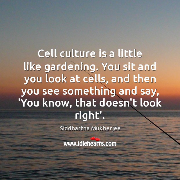 Cell culture is a little like gardening. You sit and you look Siddhartha Mukherjee Picture Quote