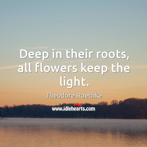 Deep in their roots, all flowers keep the light. Theodore Roethke Picture Quote