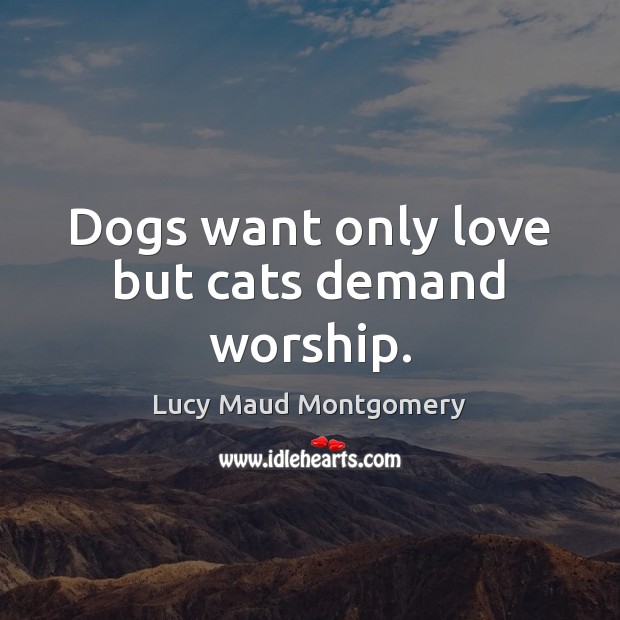 Dogs want only love but cats demand worship. Image