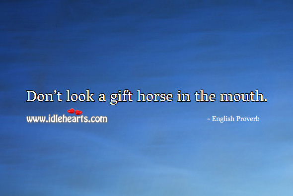 Don’t look a gift horse in the mouth. Gift Quotes Image