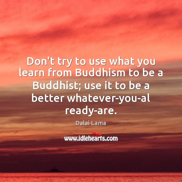 Don’t try to use what you learn from Buddhism to be a Dalai Lama Picture Quote