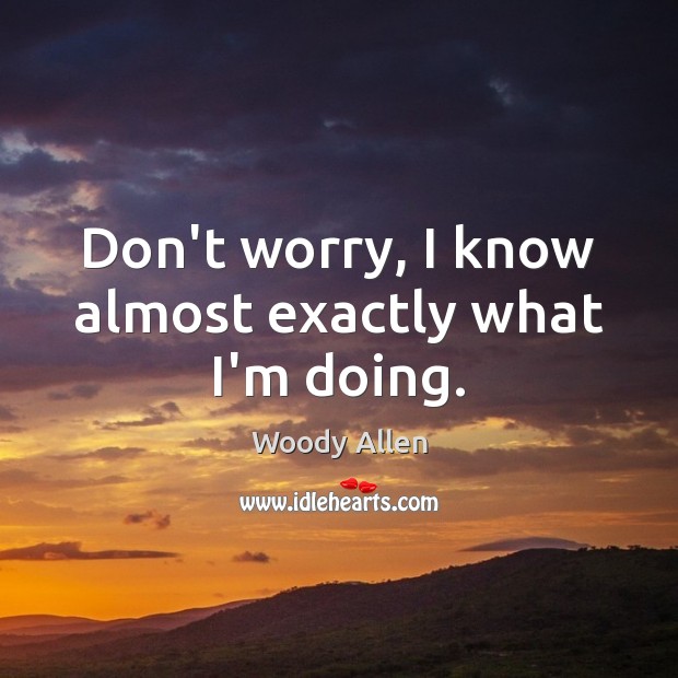 Don’t worry, I know almost exactly what I’m doing. Woody Allen Picture Quote