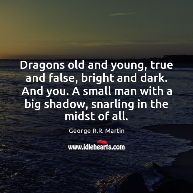 Dragons old and young, true and false, bright and dark. And you. George R.R. Martin Picture Quote