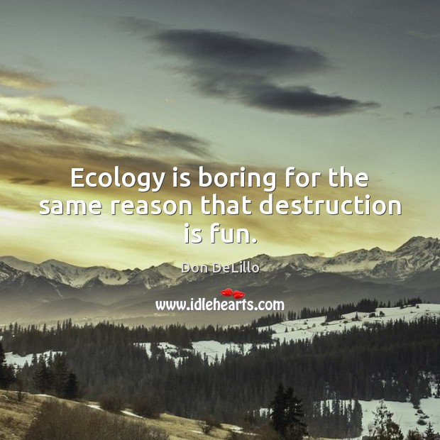 Ecology is boring for the same reason that destruction is fun. Image