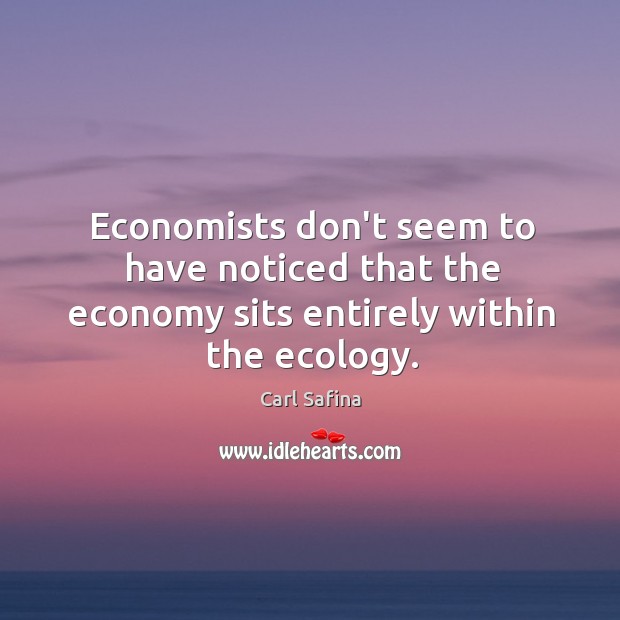 Economists don’t seem to have noticed that the economy sits entirely within the ecology. Economy Quotes Image