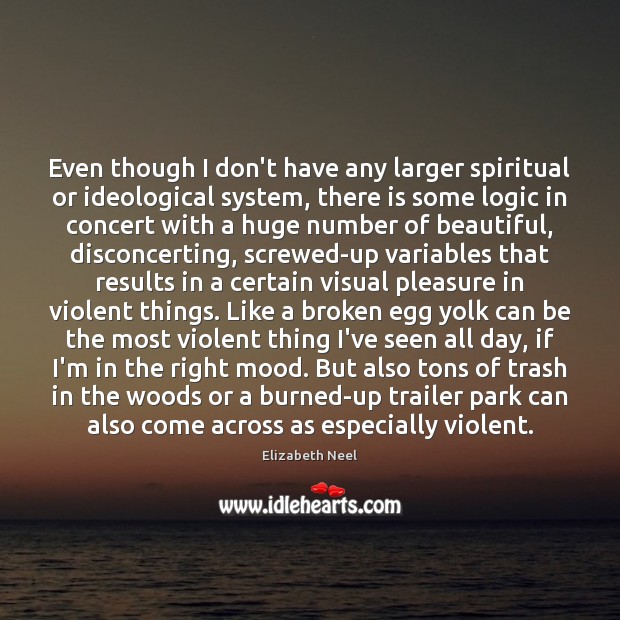 Even though I don’t have any larger spiritual or ideological system, there Logic Quotes Image