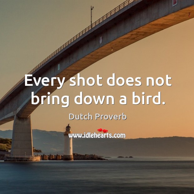Every shot does not bring down a bird. Dutch Proverbs Image