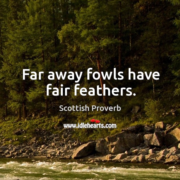 Far away fowls have fair feathers. Scottish Proverbs Image