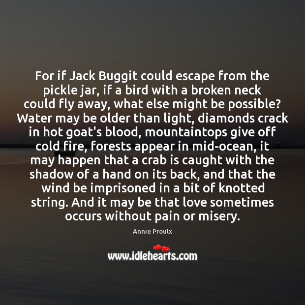 For if Jack Buggit could escape from the pickle jar, if a Annie Proulx Picture Quote