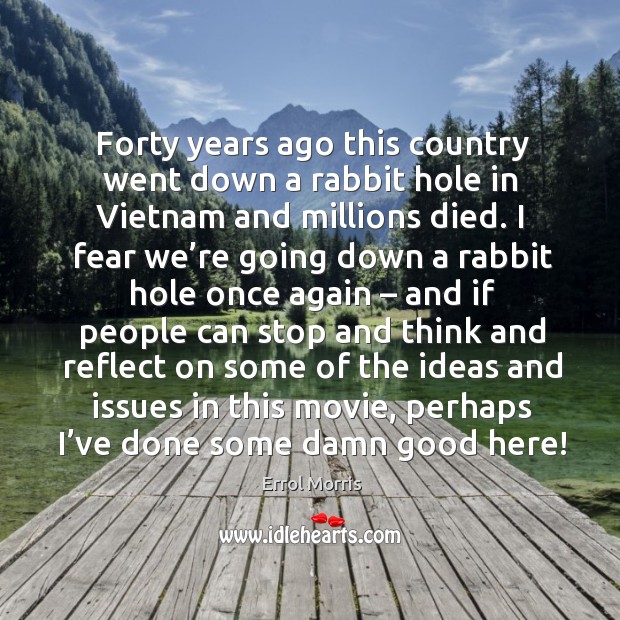 Forty years ago this country went down a rabbit hole in vietnam and millions died. Errol Morris Picture Quote