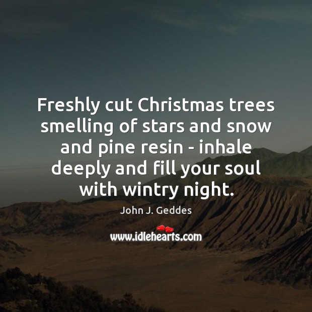 Freshly cut Christmas trees smelling of stars and snow and pine resin Christmas Quotes Image