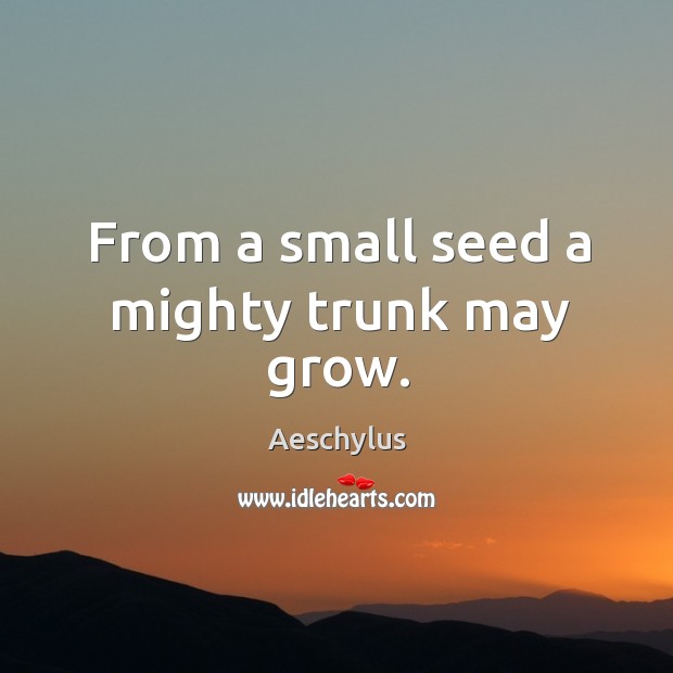 From a small seed a mighty trunk may grow. Image