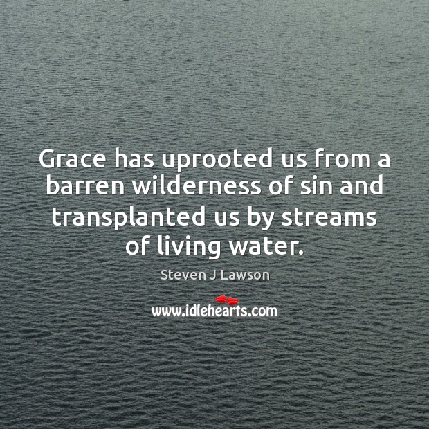 Grace has uprooted us from a barren wilderness of sin and transplanted Image