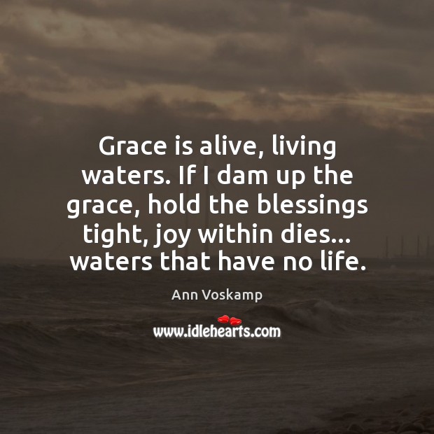 Grace is alive, living waters. If I dam up the grace, hold Blessings Quotes Image