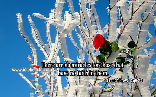 Have faith in them. Faith Quotes Image