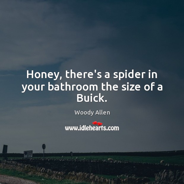 Honey, there’s a spider in your bathroom the size of a Buick. Woody Allen Picture Quote