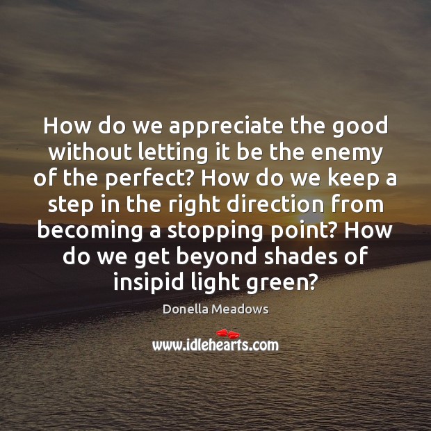 How do we appreciate the good without letting it be the enemy Donella Meadows Picture Quote